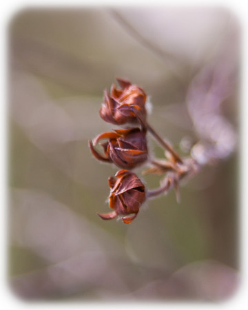 Bundled for Winter (8790)