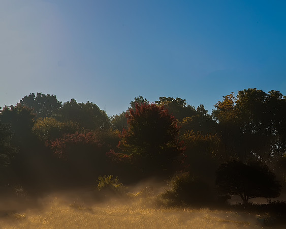 Foggy Morning Sun.