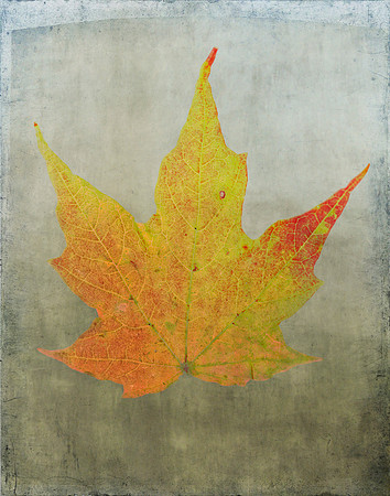Fallen (2154)